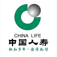 中國人壽保險(xiǎn)(集團(tuán))公司保定分公司招聘 logo